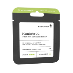 Mandarin OG | Autoflowering