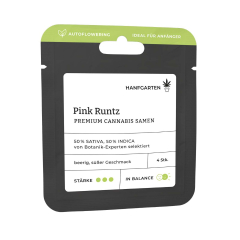 Pink Runtz | Autoflowering