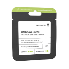 Rainbow Runtz | Autoflowering
