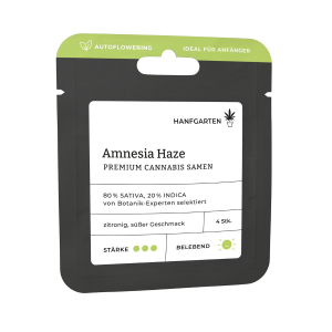 Amnesia Haze | Autoflowering